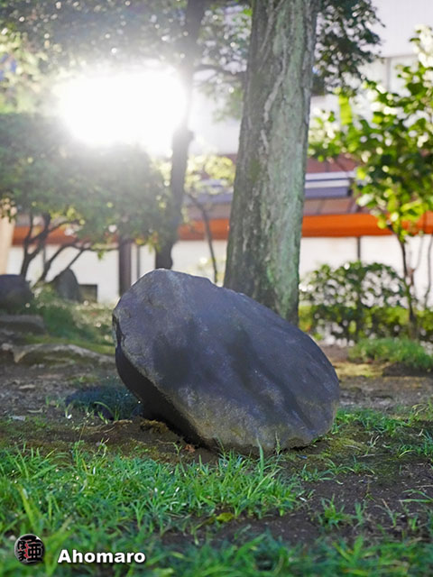写真00