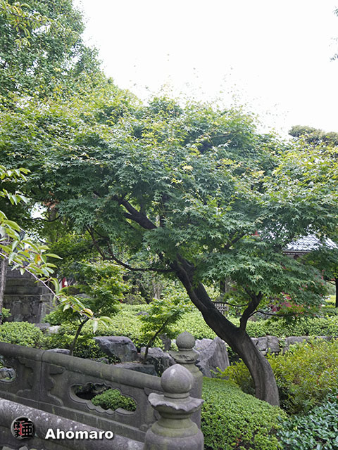 写真00
