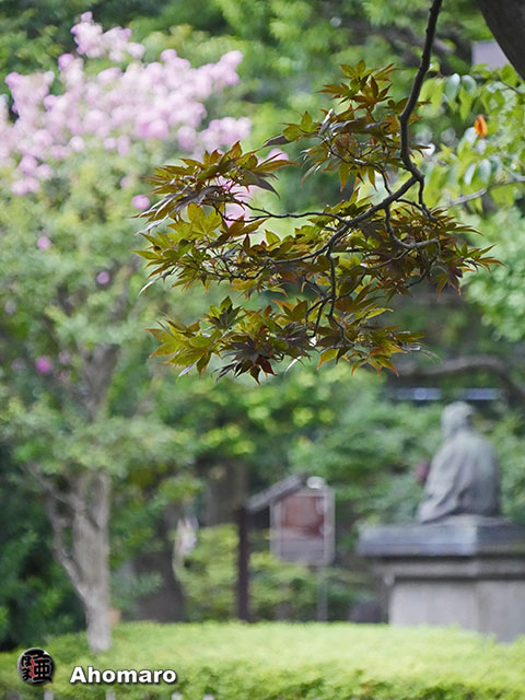 写真00