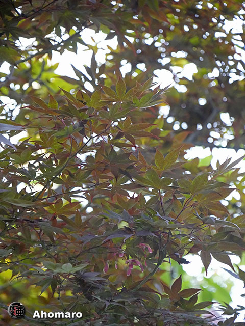 写真00