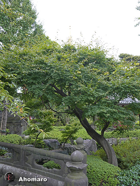 写真00