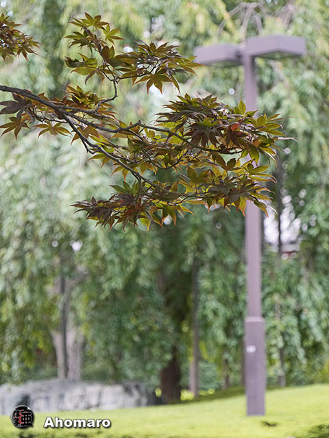 写真00