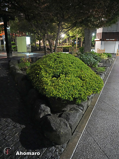 写真00