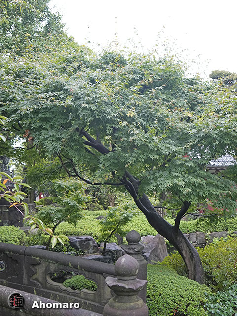 写真00