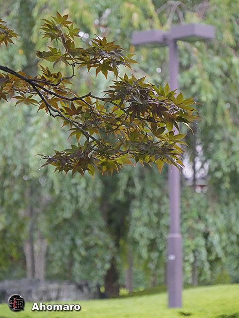 写真00