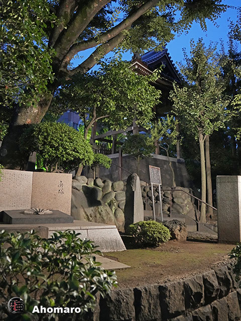 写真00