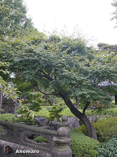 写真00