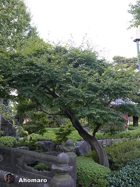 写真00