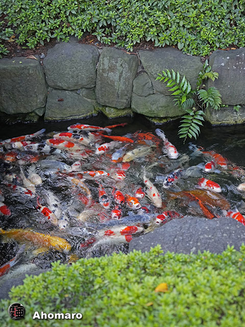 写真00