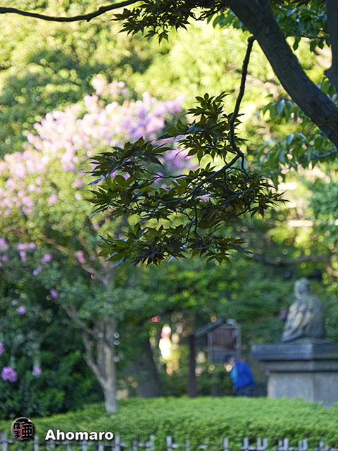 写真00