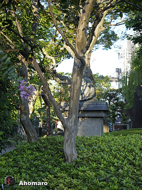 写真00