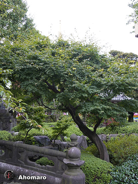 写真00