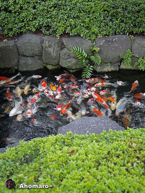 写真00
