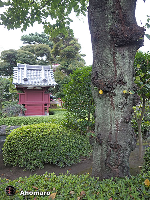 写真00