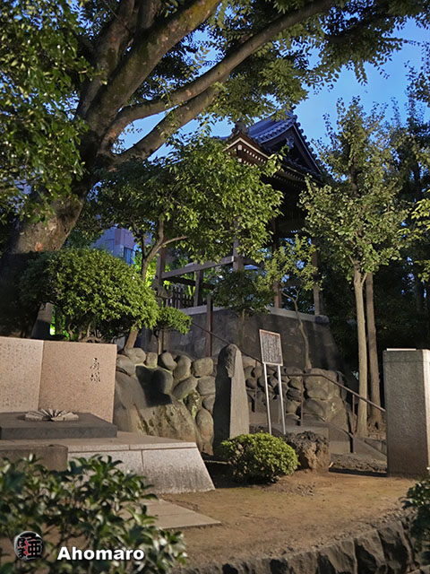 写真00