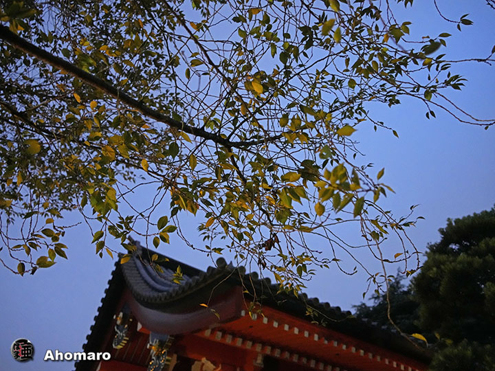 写真00