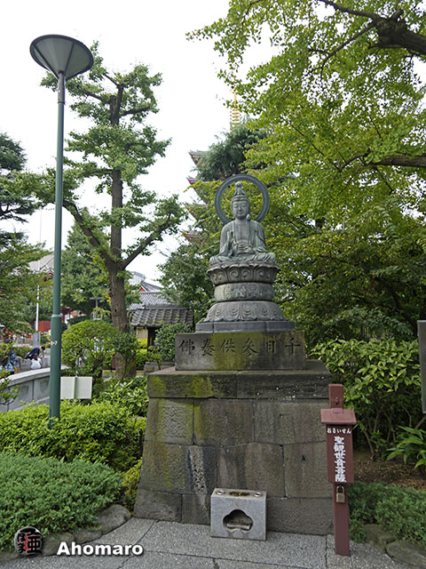 写真00