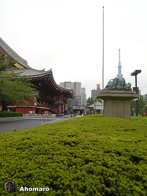 写真00