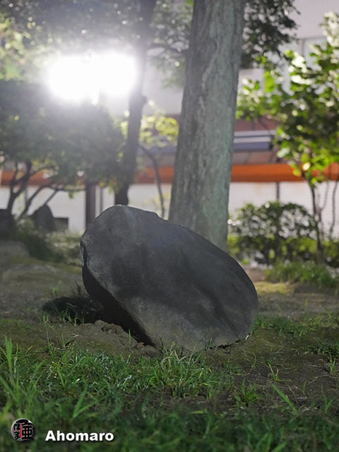 写真00