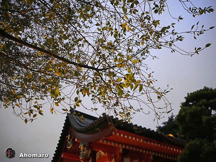 写真00