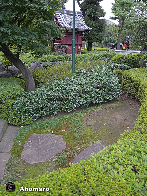 写真00