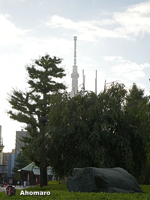 写真00