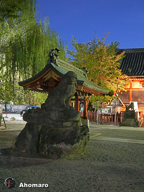 写真00
