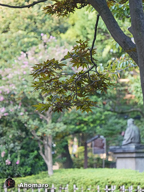 写真00