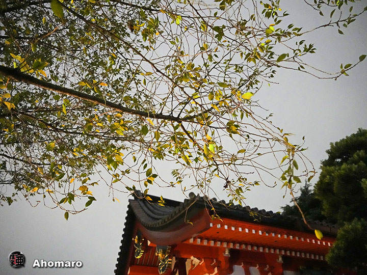 写真00