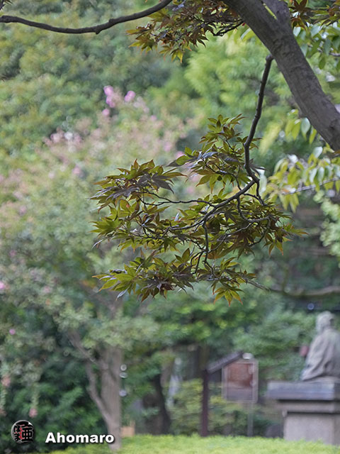 写真00