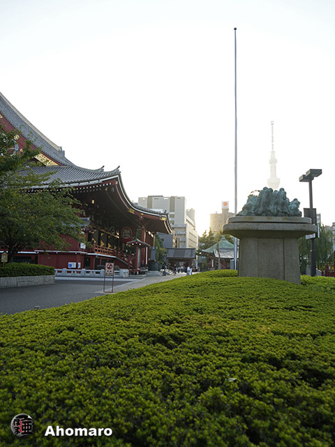 写真00
