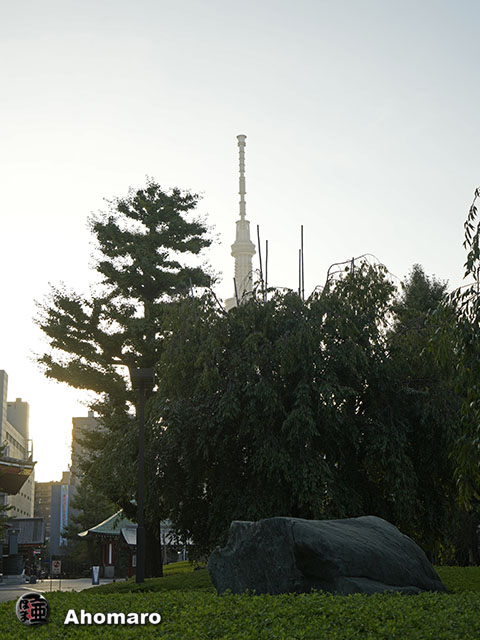 写真00