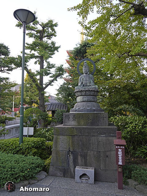 写真00