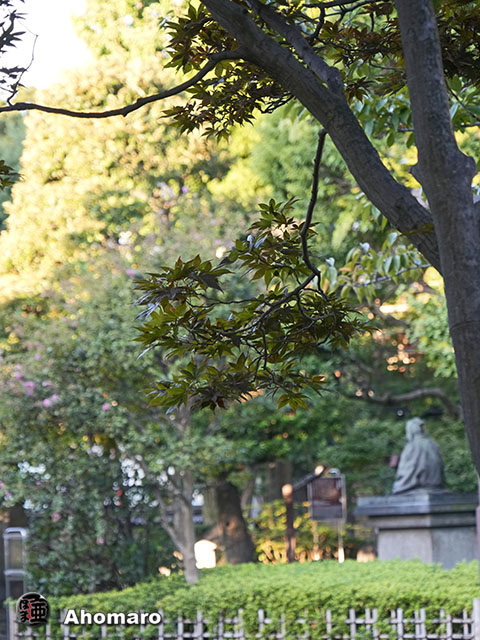 写真00