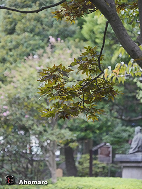 写真00