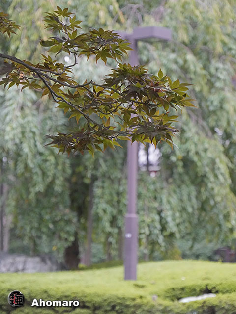 写真00