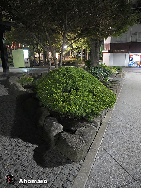 写真00