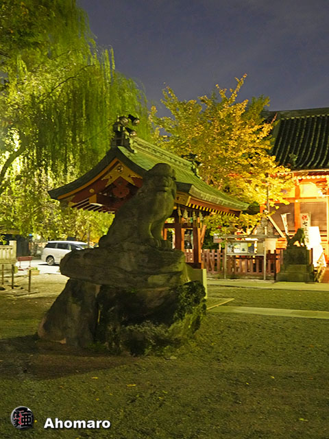 写真00