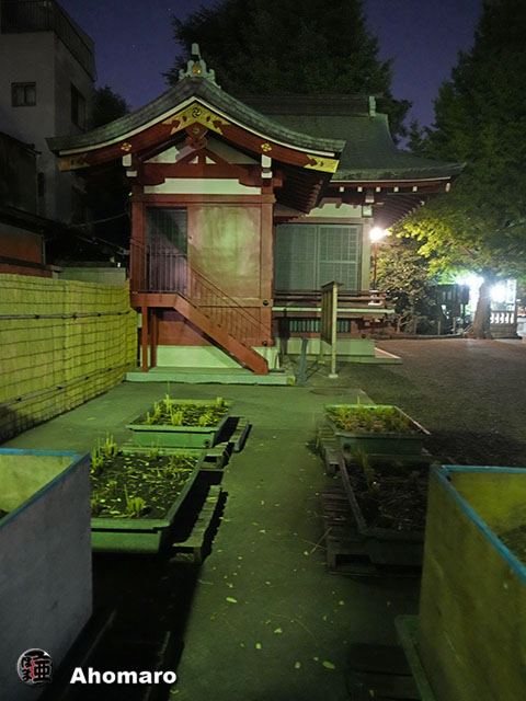 写真00