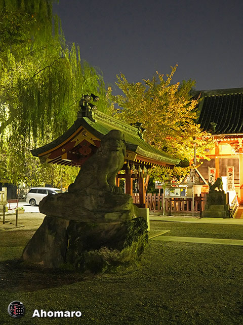 写真00