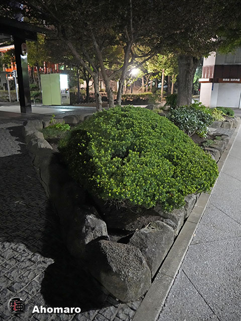 写真00