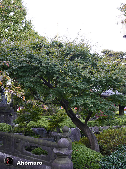 写真00