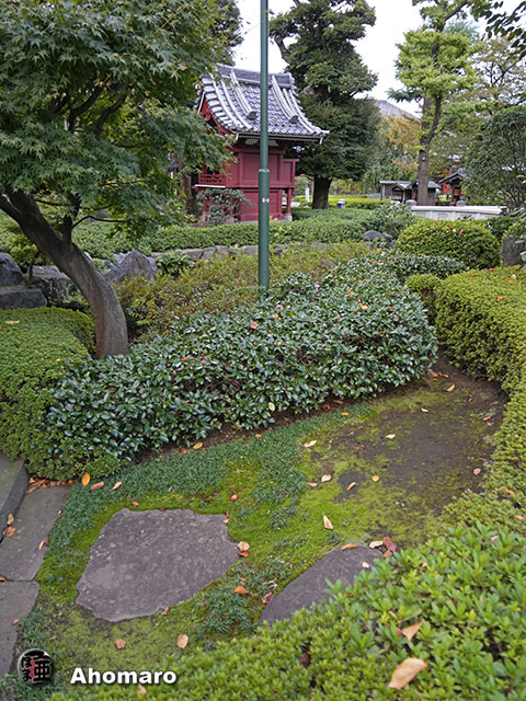 写真00