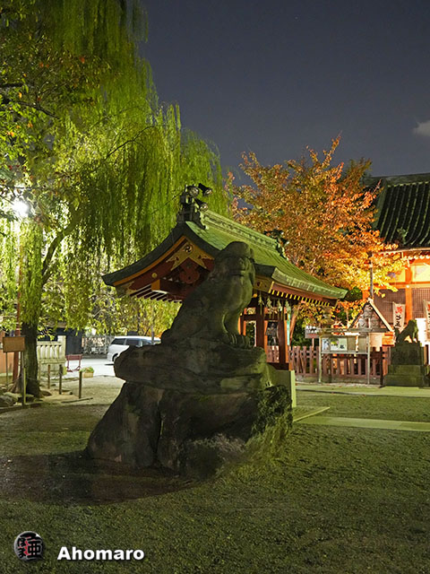 写真00