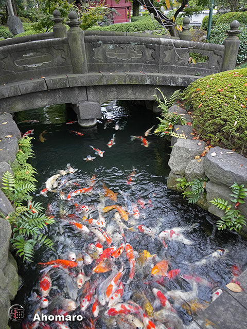写真00