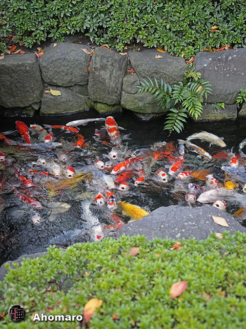 写真00