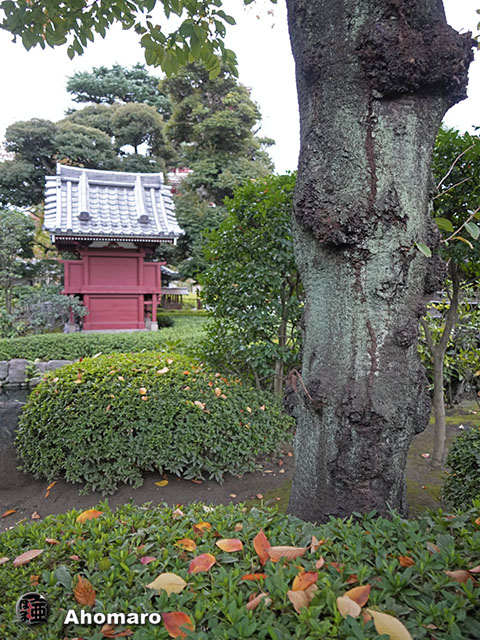 写真00