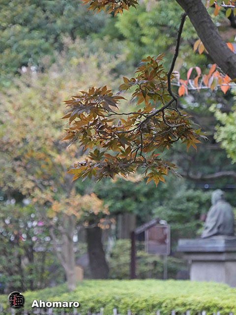 写真00