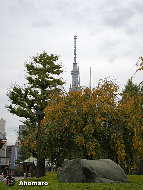 写真00