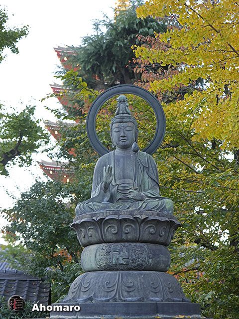 写真00